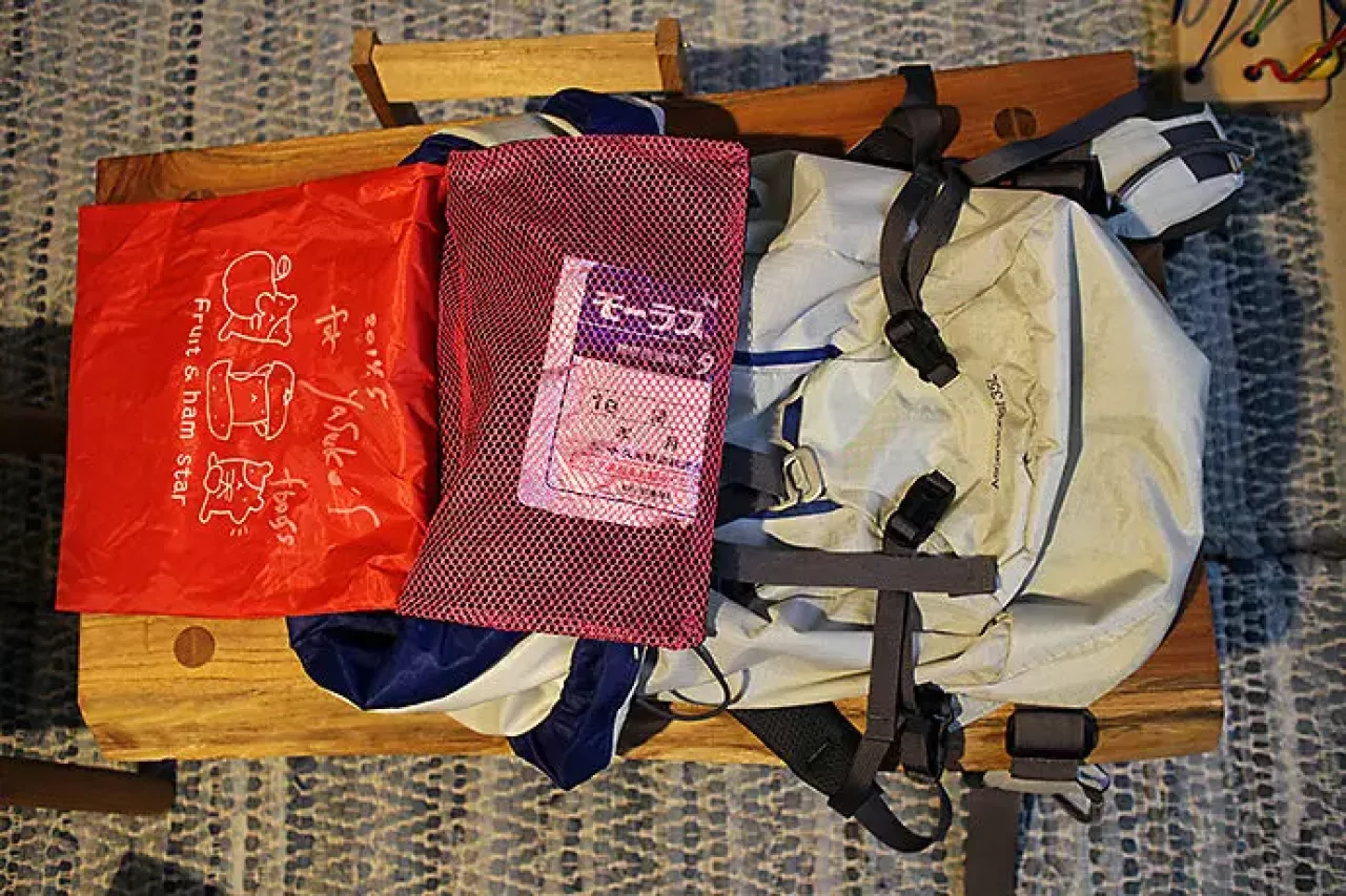 パタゴニアのバックパック「アセンジョニスト」