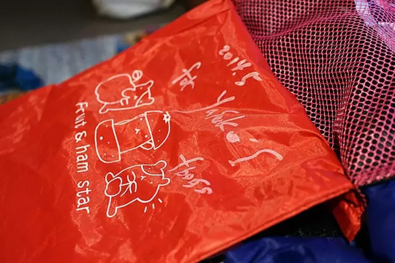 パタゴニアのバックパック「アセンジョニスト」