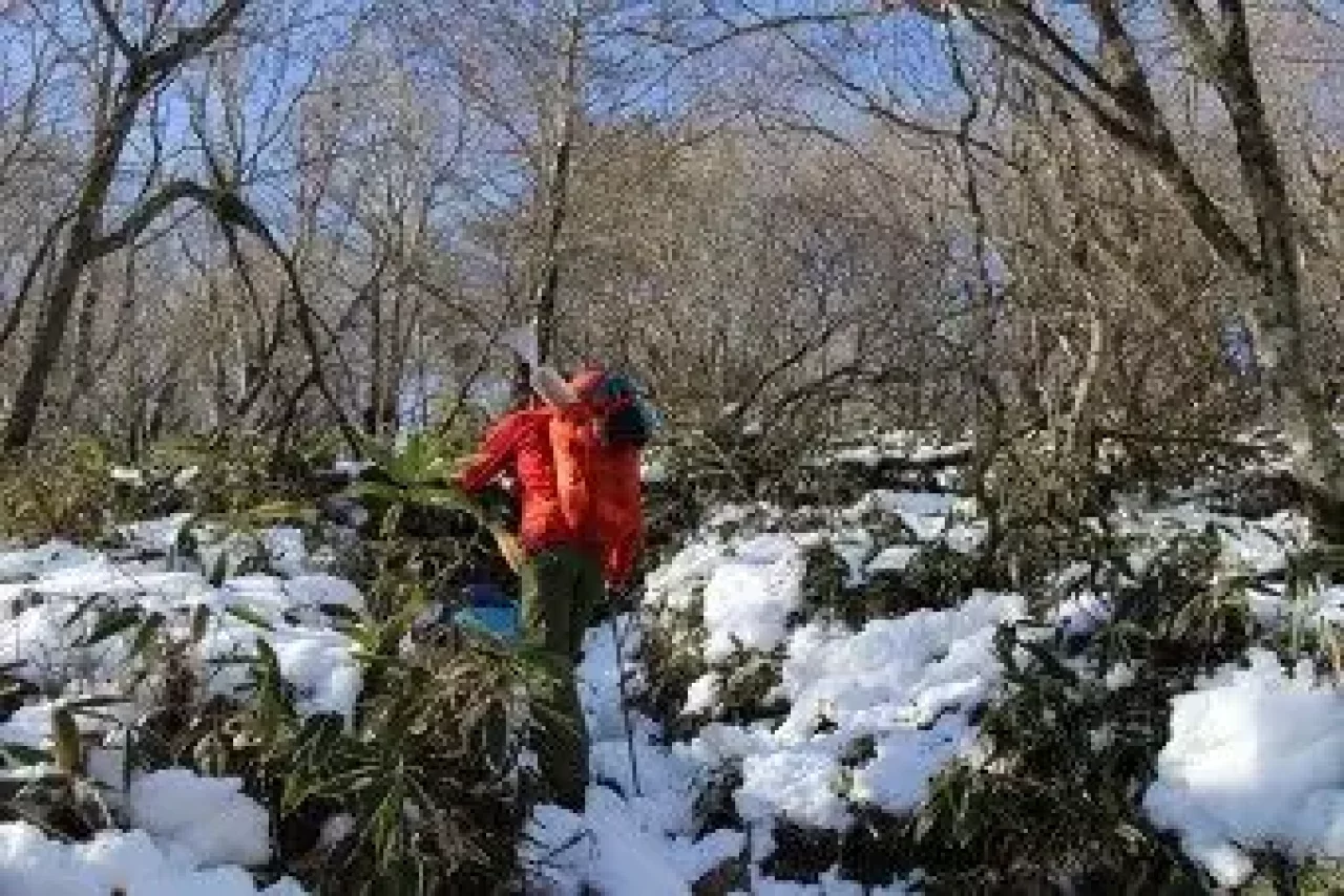 赤城山地蔵岳の登山