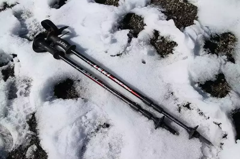 LEKI トレッキングポール