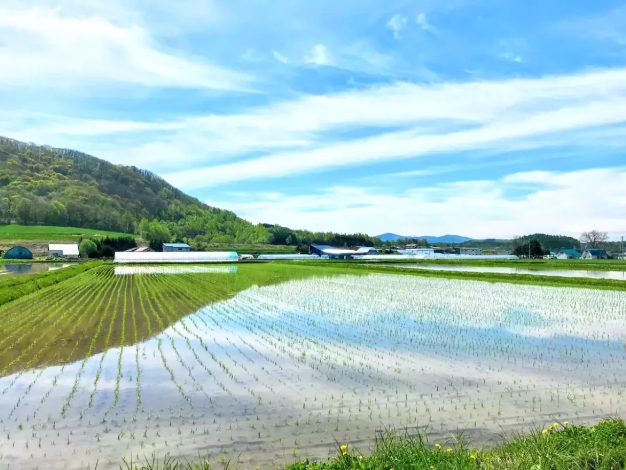 北海道 当麻町