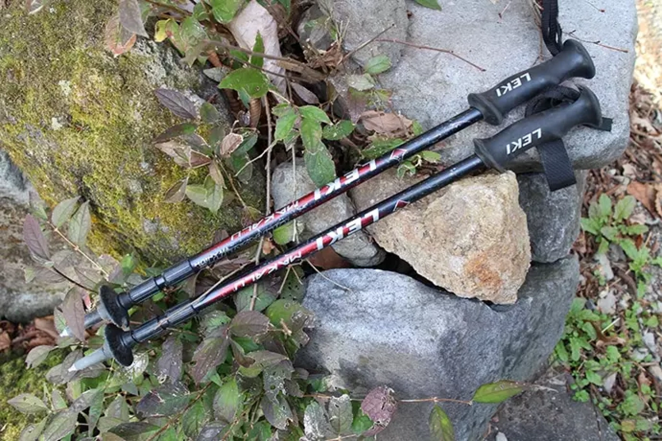 登山を始めた時から愛用している『LEKI トレッキングポール』