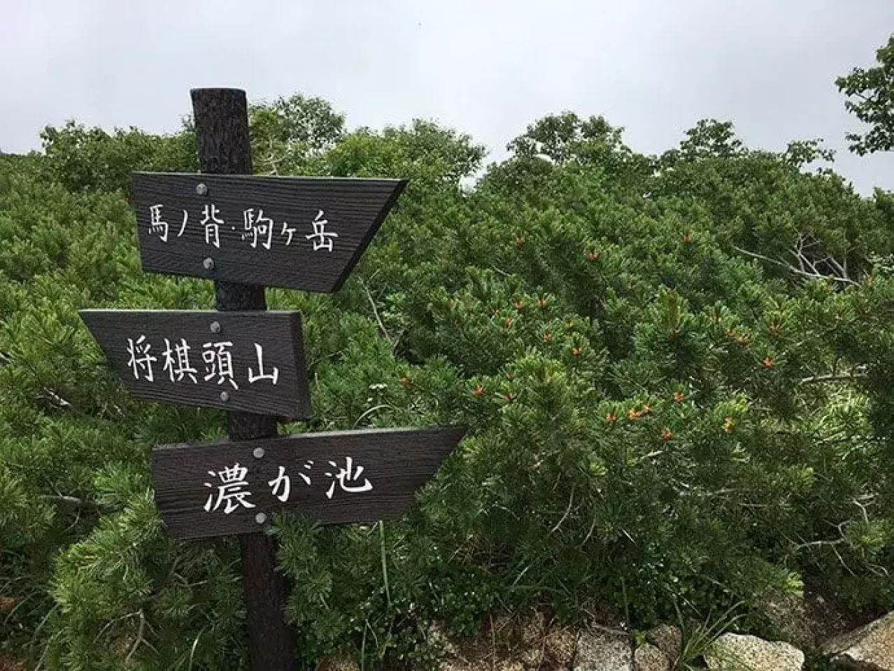 木曽駒ヶ岳 中央アルプス