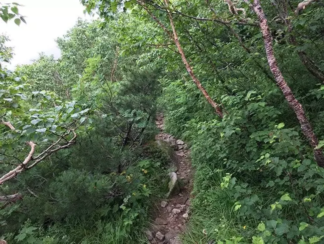 木曽駒ヶ岳 中央アルプス