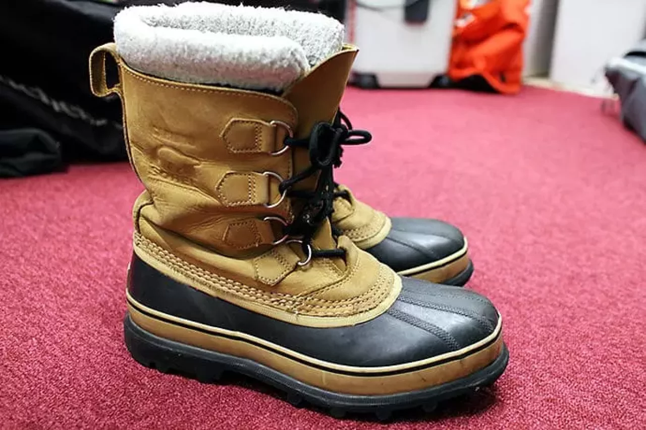 ソレル カリブー