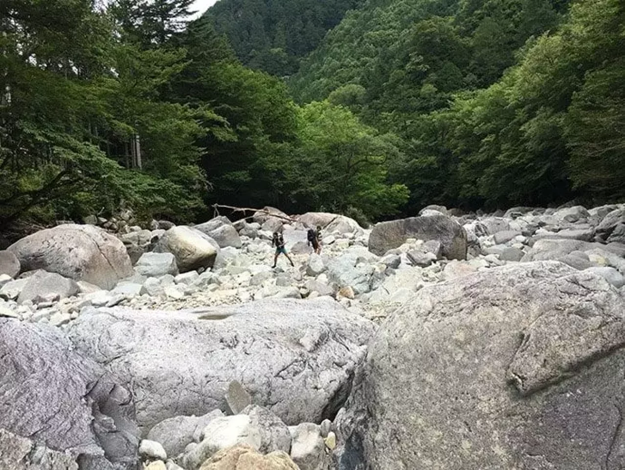 王滝村 テンカラ