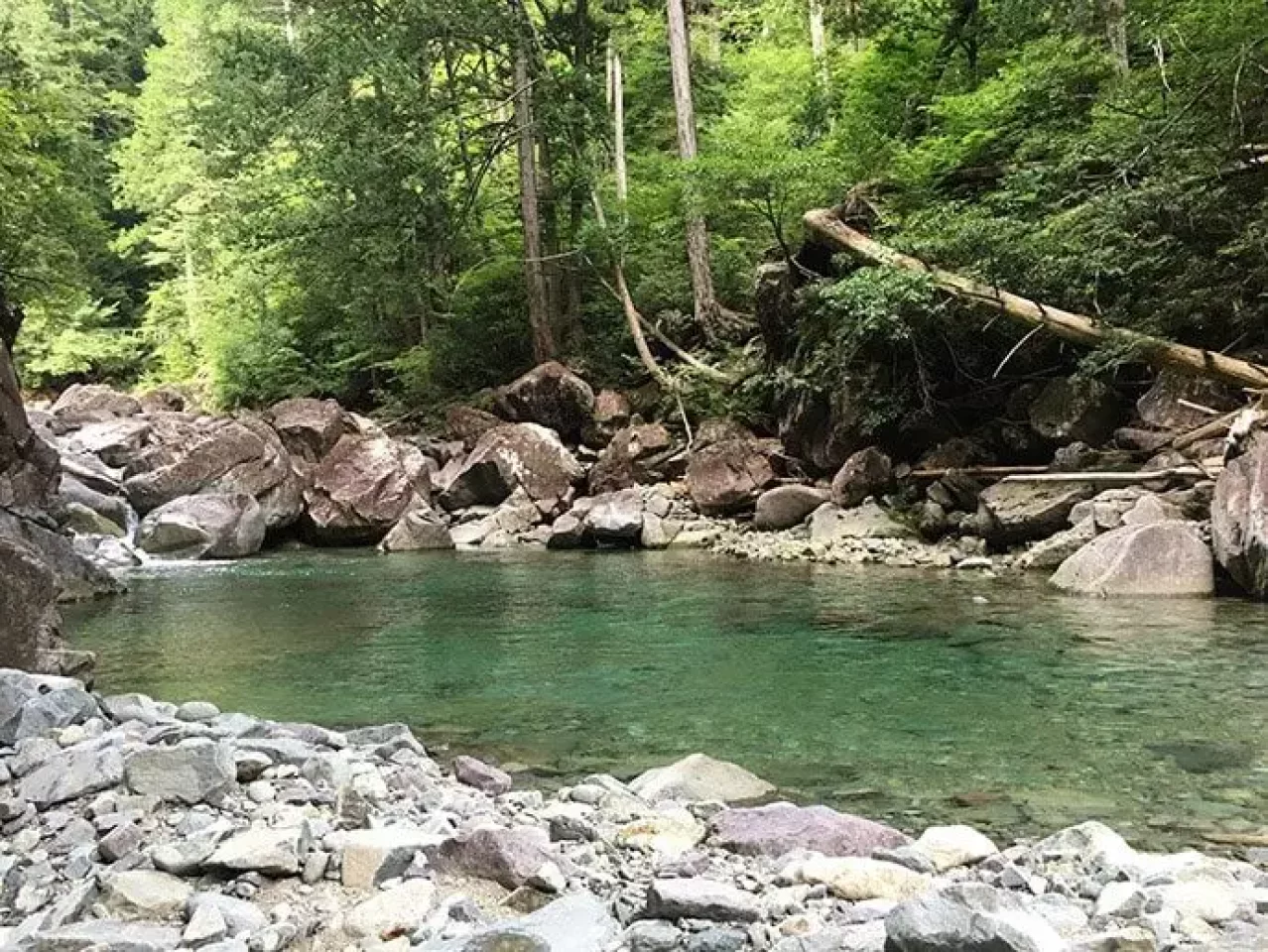 王滝村 テンカラ