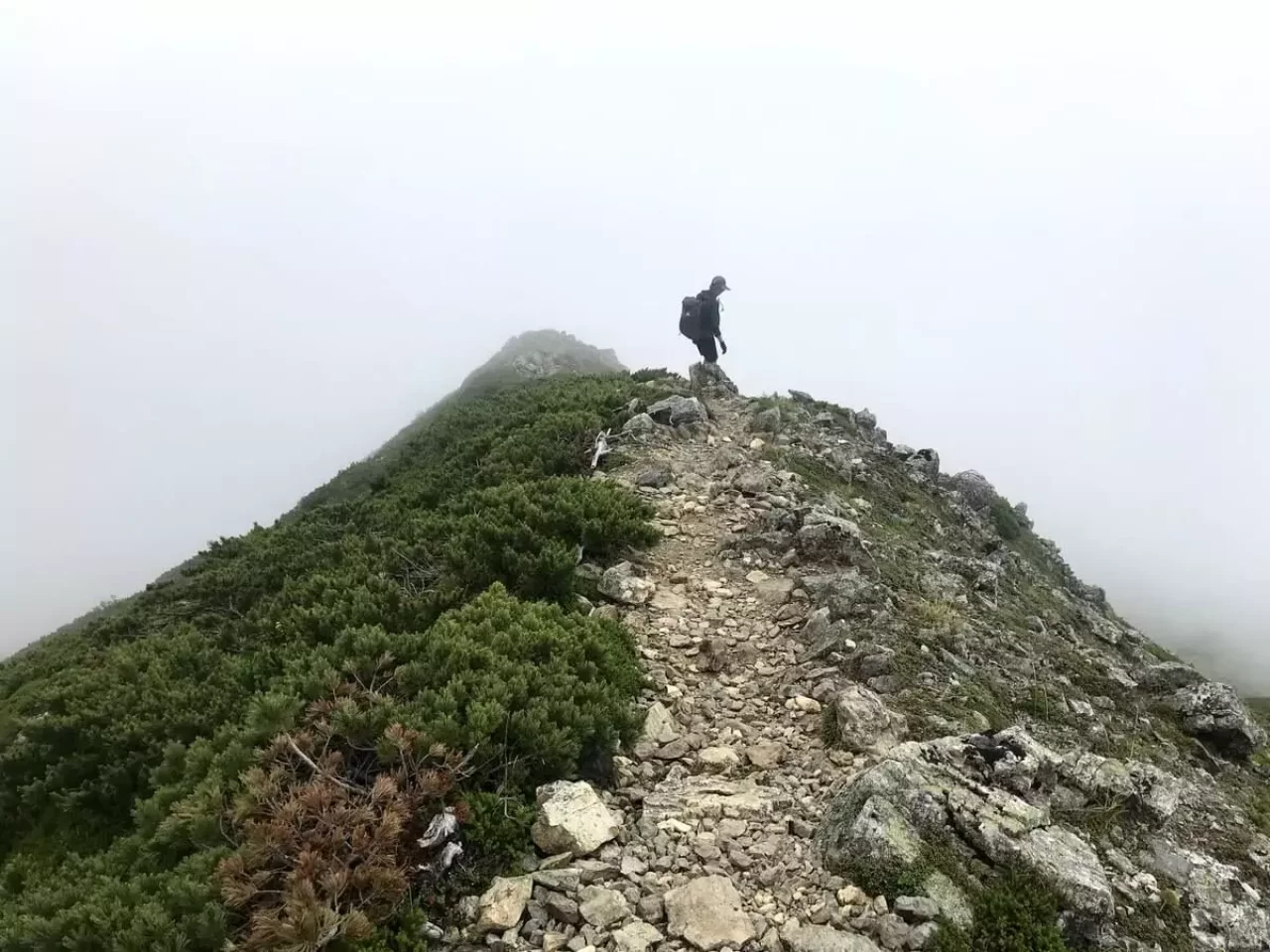 上河内岳を下り、茶臼小屋に向かう稜線
