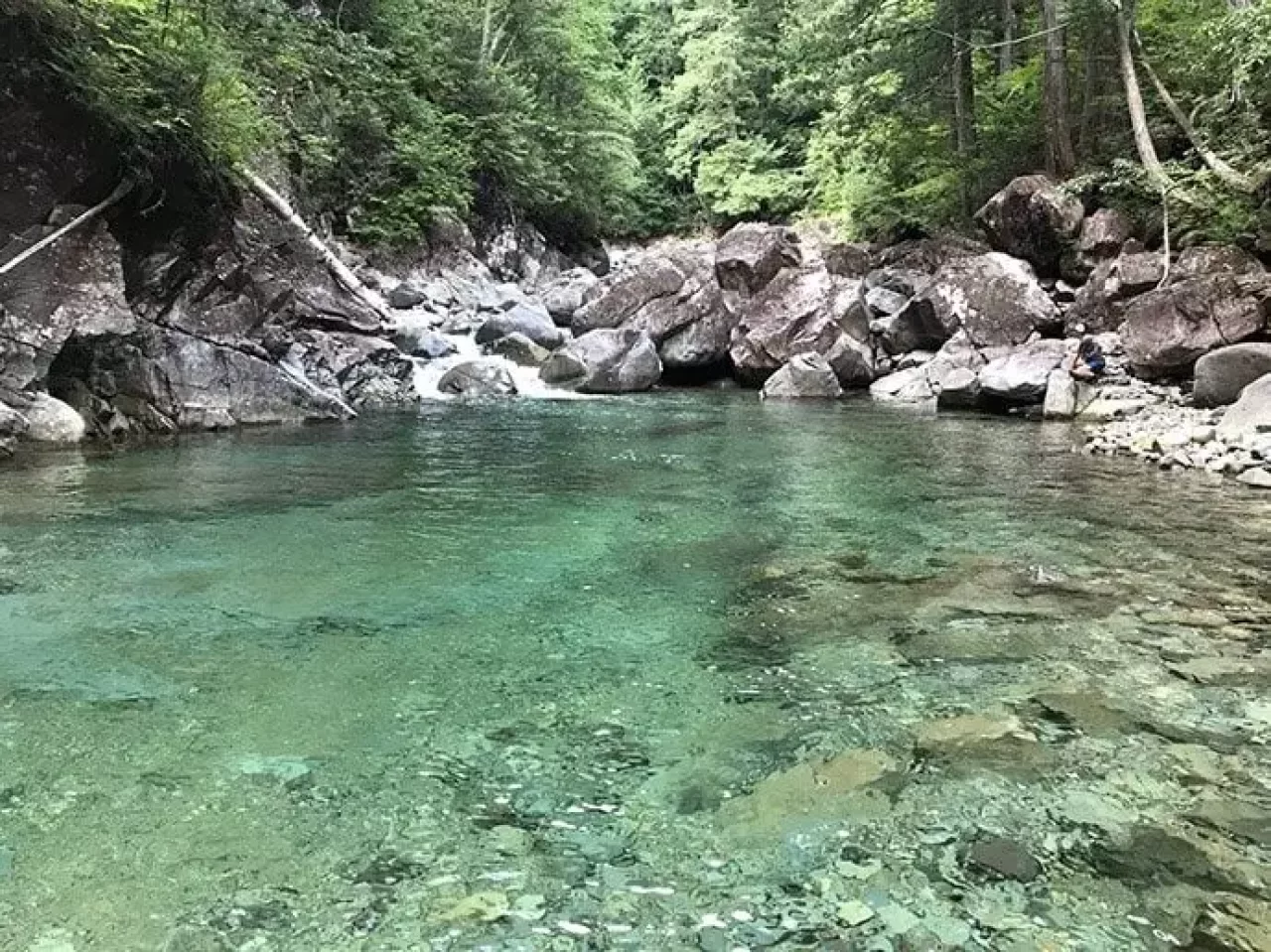 王滝村 テンカラ