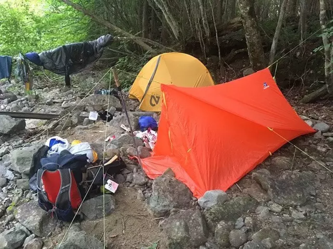 マウンテンカラ