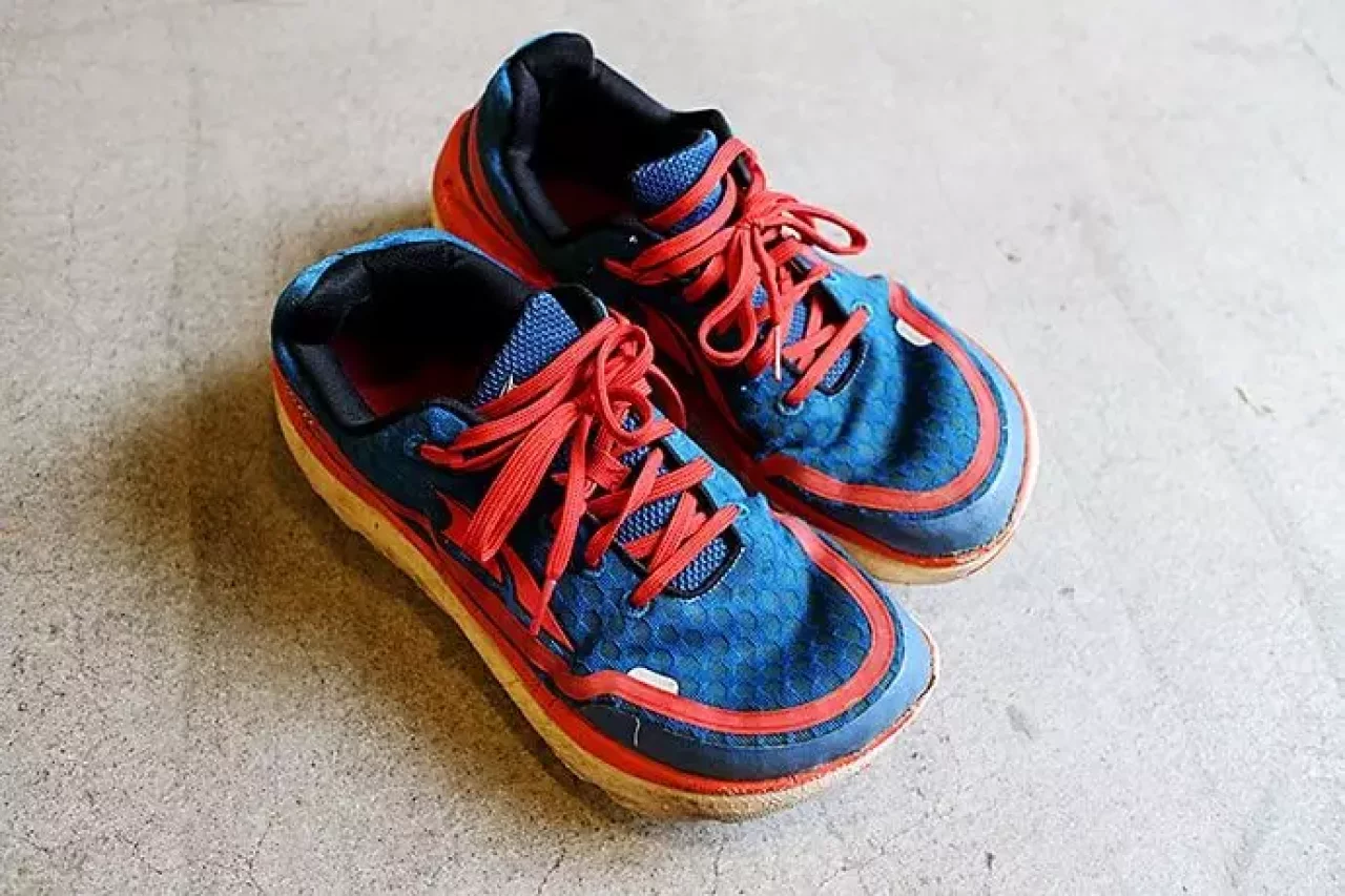 アルトラ パラダイム