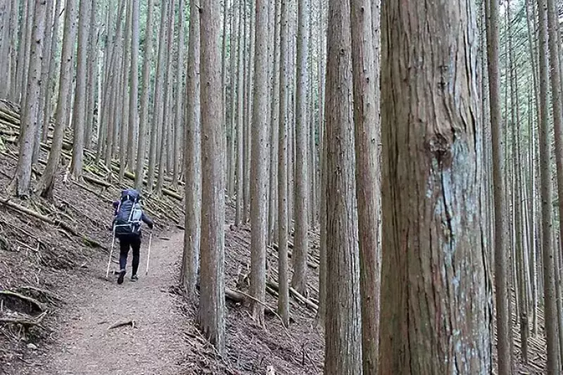 ヘビーデューティな登山