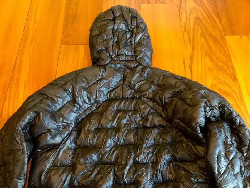 パタゴニア マイクロパフフーディー