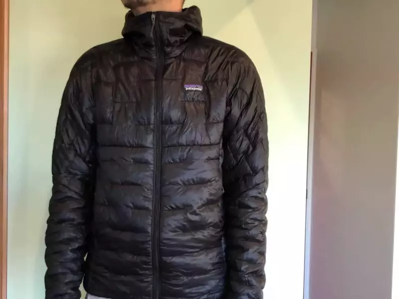 パタゴニア マイクロパフフーディー