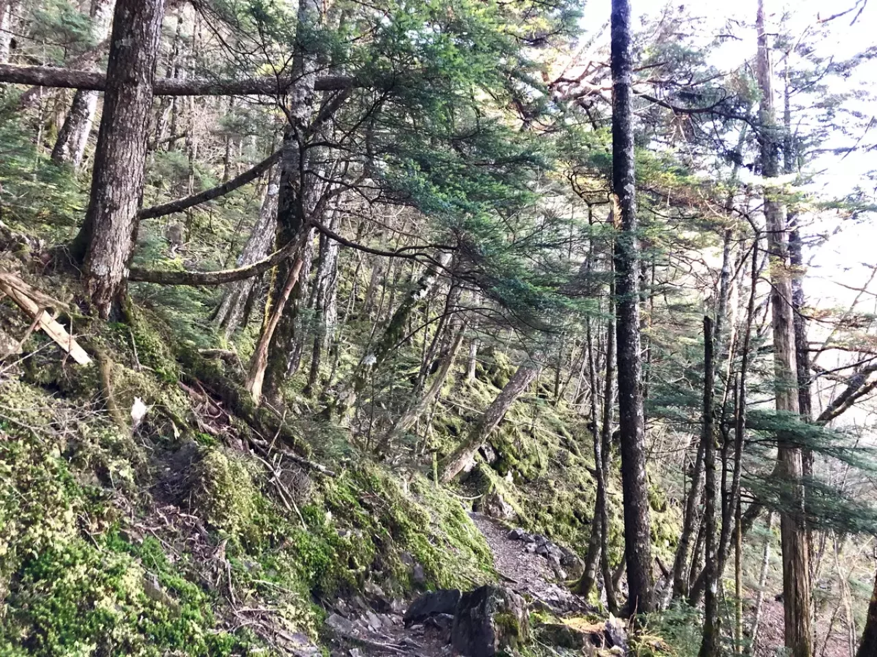 大菩薩峠登山口からは約25分歩くことで丸川峠入口に到着