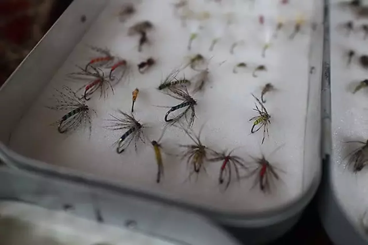 ウェットフライ