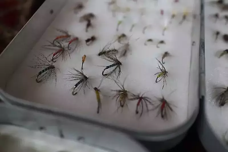 ウェットフライ