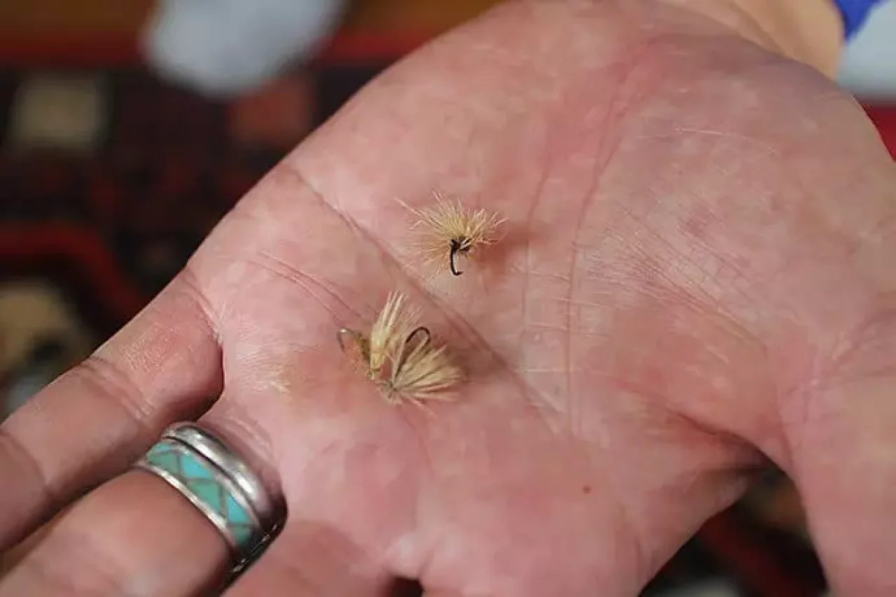 エルクヘアカディス