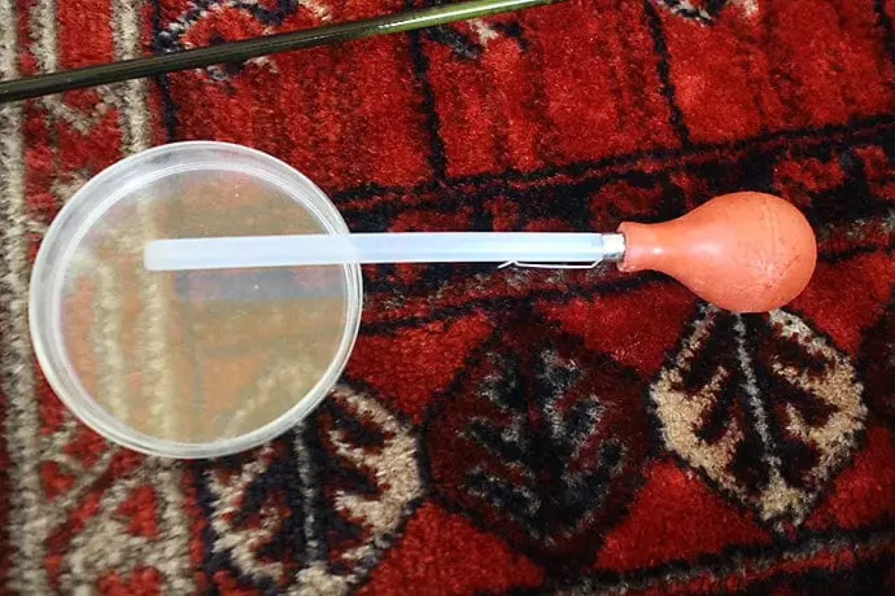 スポイトとシャーレー