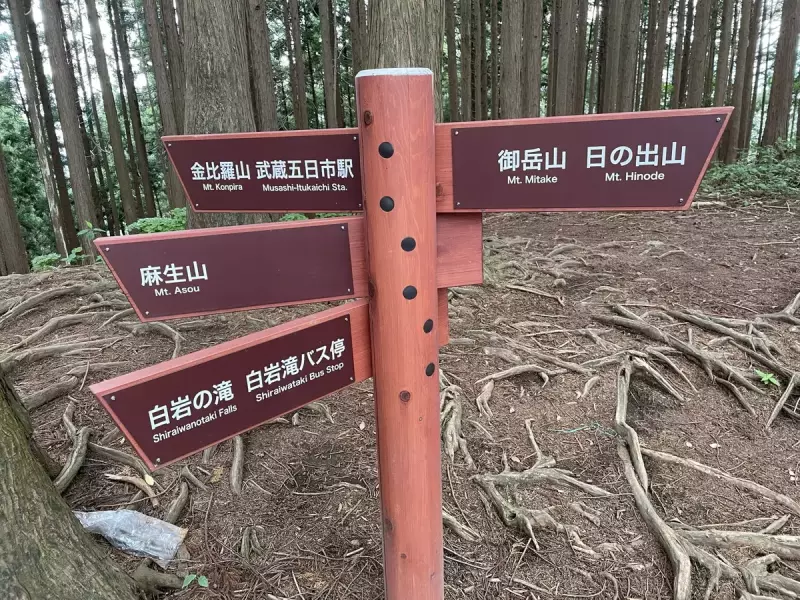 金毘羅尾根のトレイル 分岐点 関東近郊おすすめトレイルランニングコース