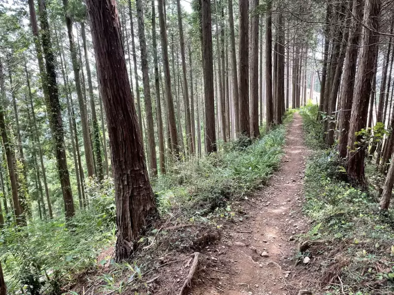【東京近郊トレイルランコース】初心者はここから!日の出山〜金比羅尾根|ルート紹介から探す|登山・トレラン・山スキーマガジン「山旅旅」