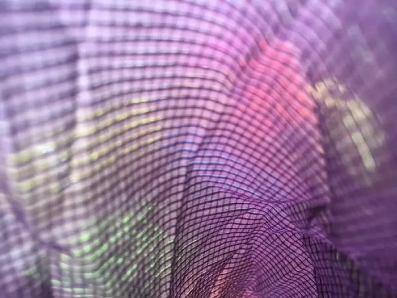 アクシーズクイン ハゴロモ