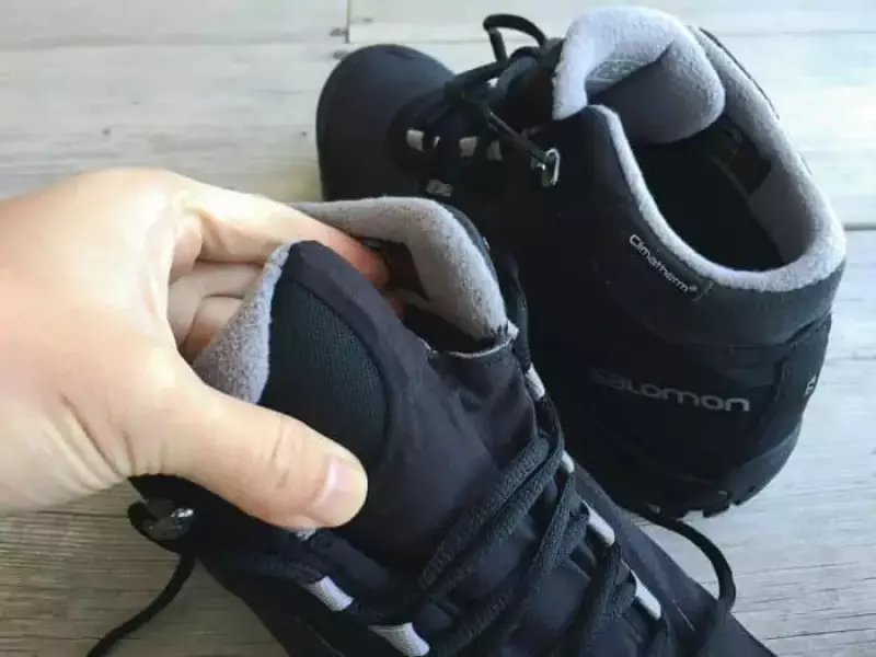 サロモン シェルターのタン