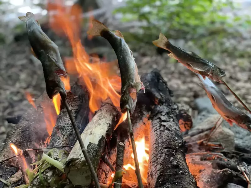 源流野営 プリムス イグニッションスチール