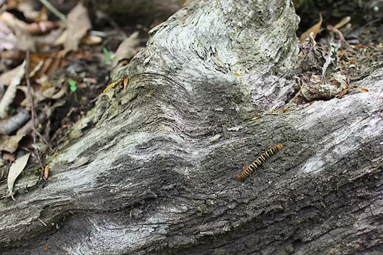 百尋の滝 子供とハイキング