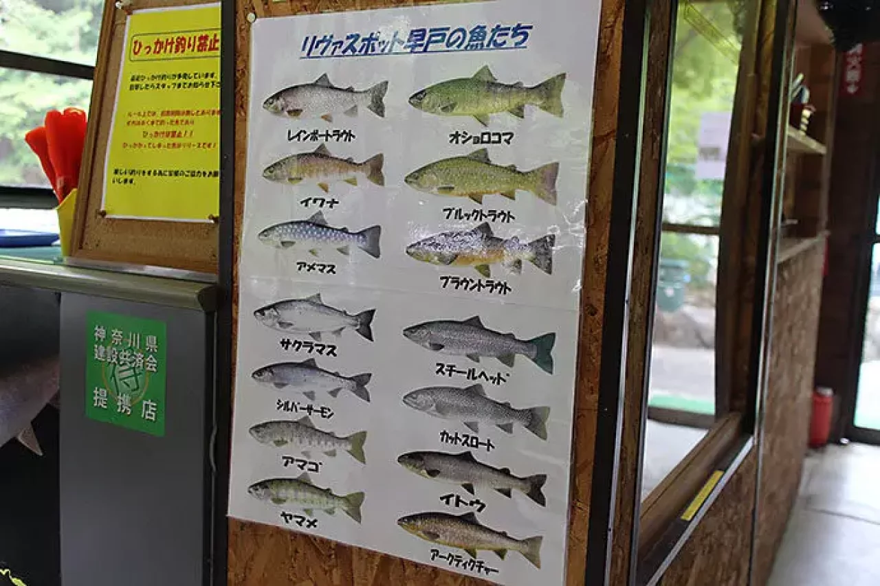 リヴァスポット 早戸で楽しむマウンテンカラ