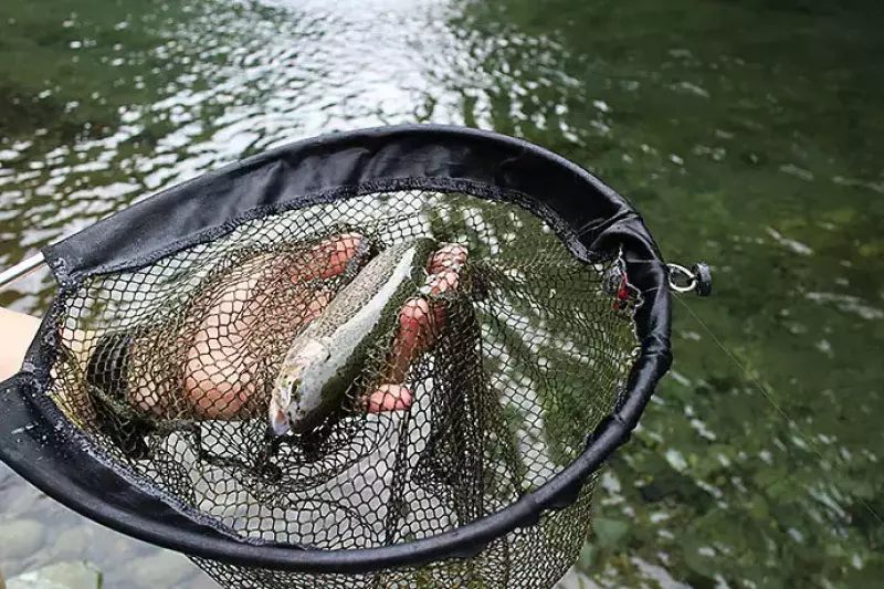 釣り場で1匹目の魚