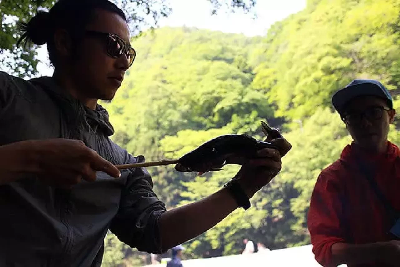 荒々しいマウンテカラ部