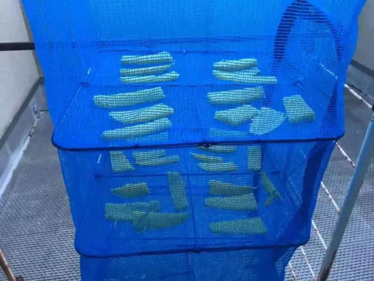 行動食の干し芋の作り方