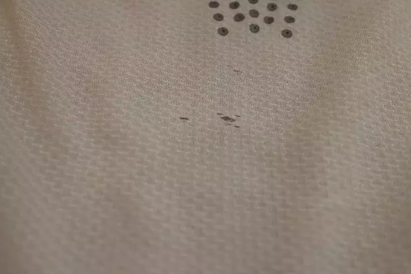 サロモン エスラボ「センスTシャツ」