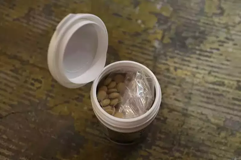 サカナのちから