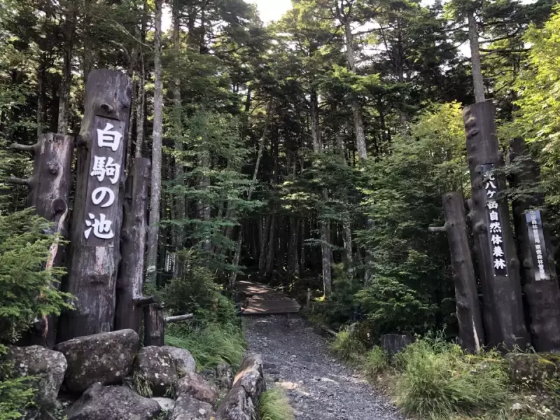 白駒の池入口