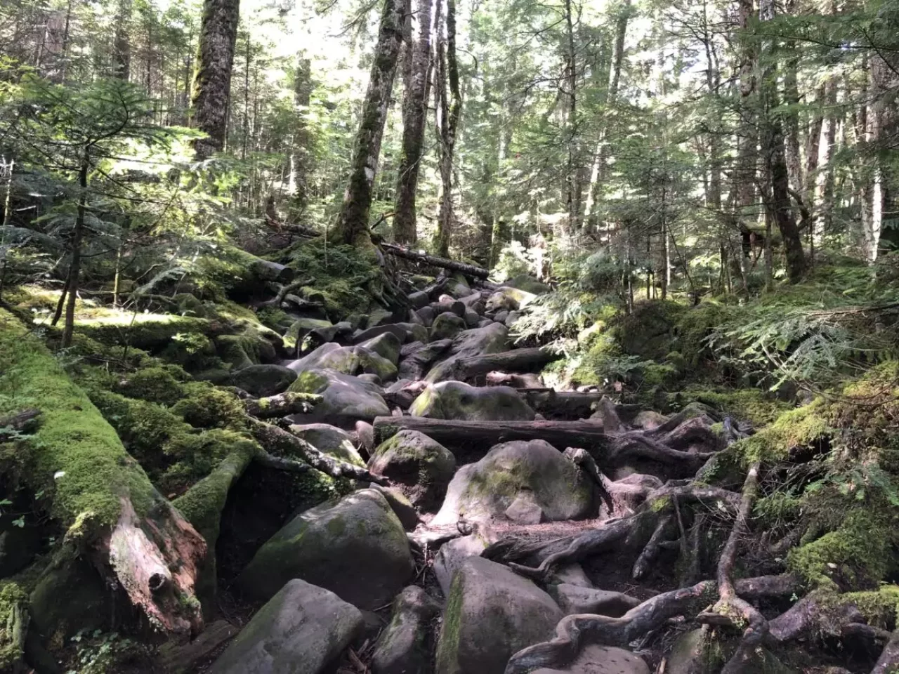 高見石小屋までの登山道