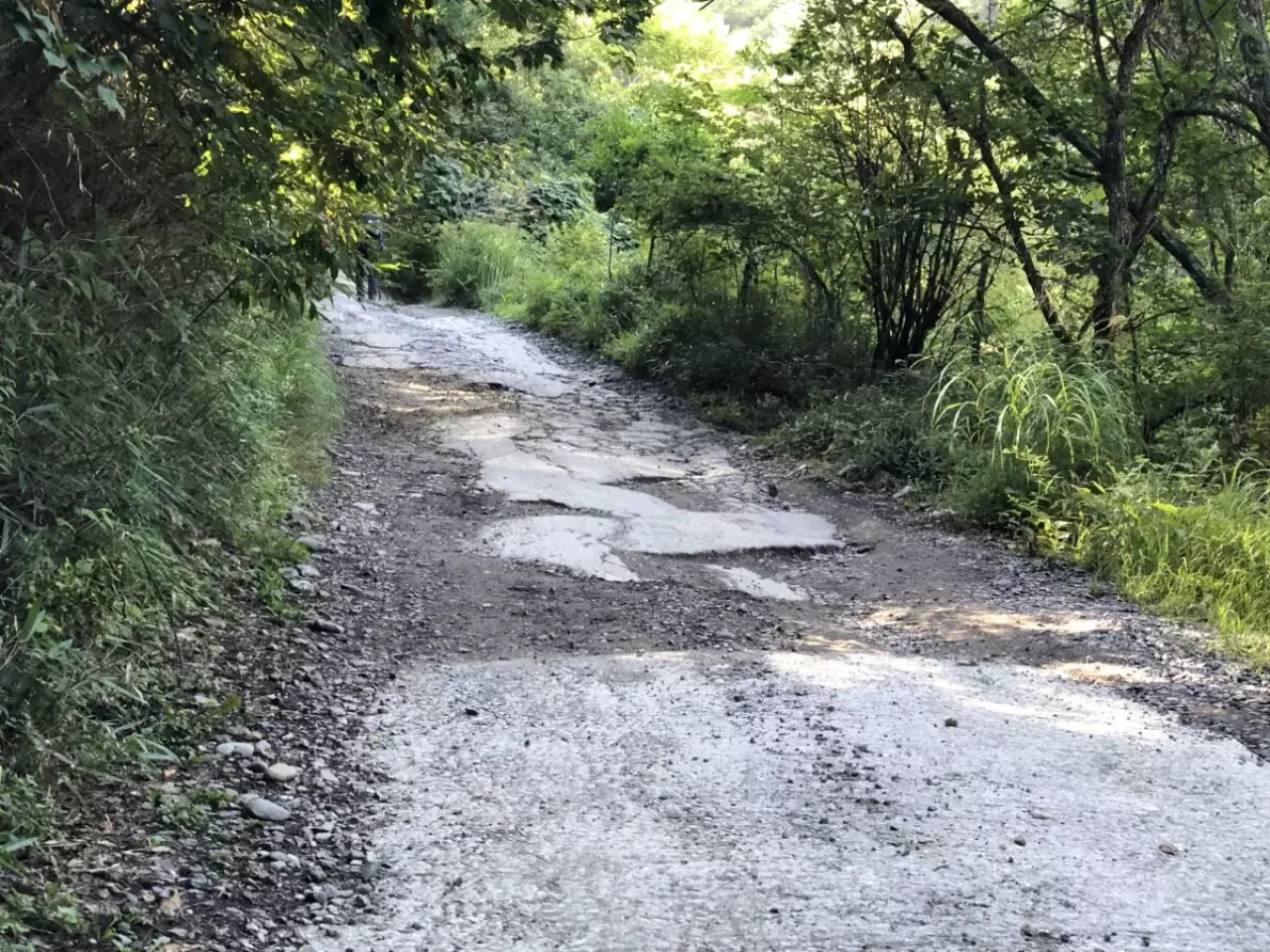 美濃戸口までの道路