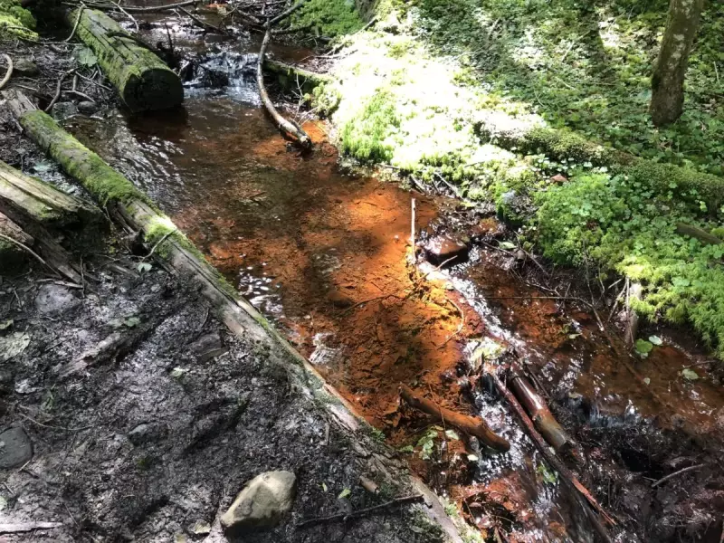赤岳中腹の小川