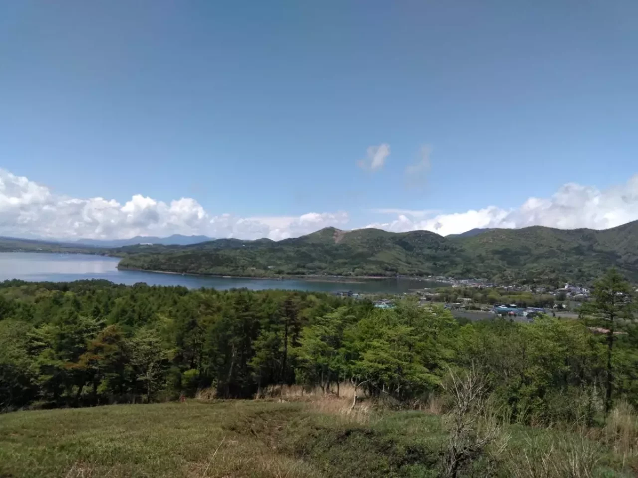 鉄砲木ノ頭 登山 登山道