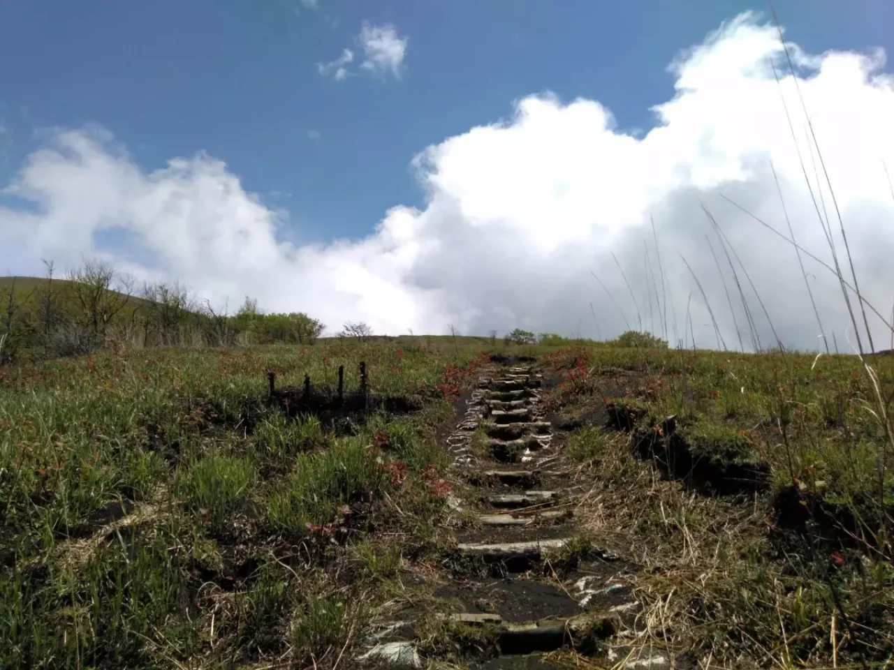 鉄砲木ノ頭 登山 登山道