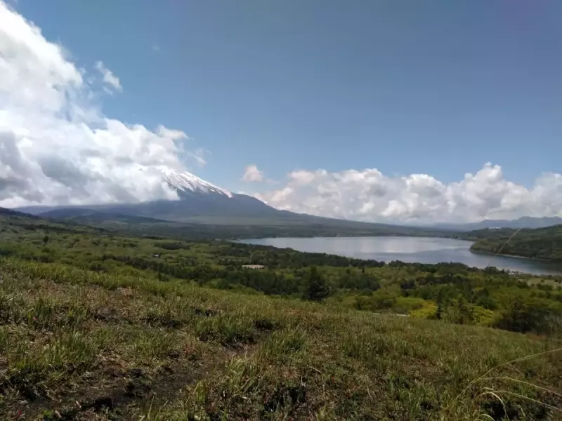 鉄砲木ノ頭 登山 登山道