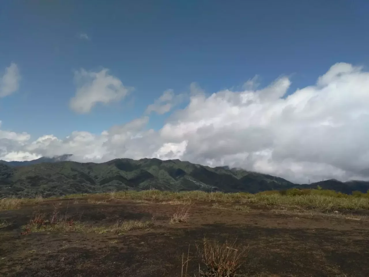鉄砲木ノ頭 登山 山頂