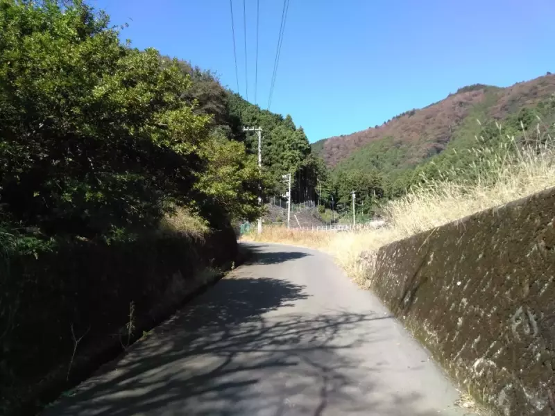 大山三峰山 登山 登山道