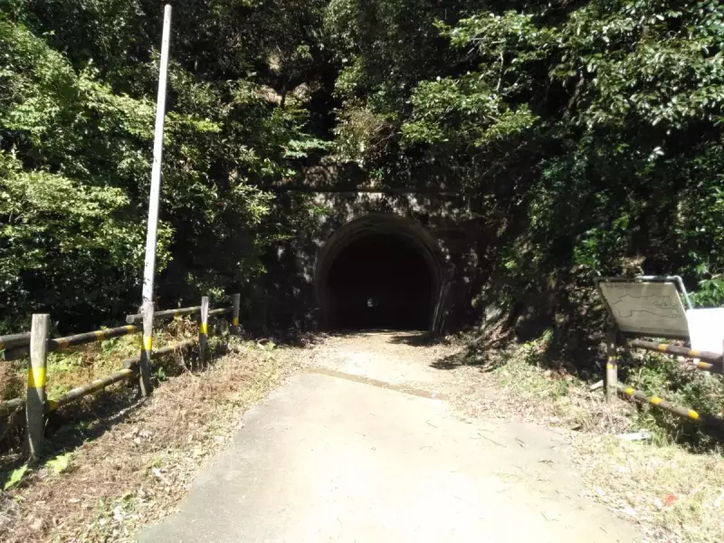 大山三峰山 登山 登山道 山神隧道