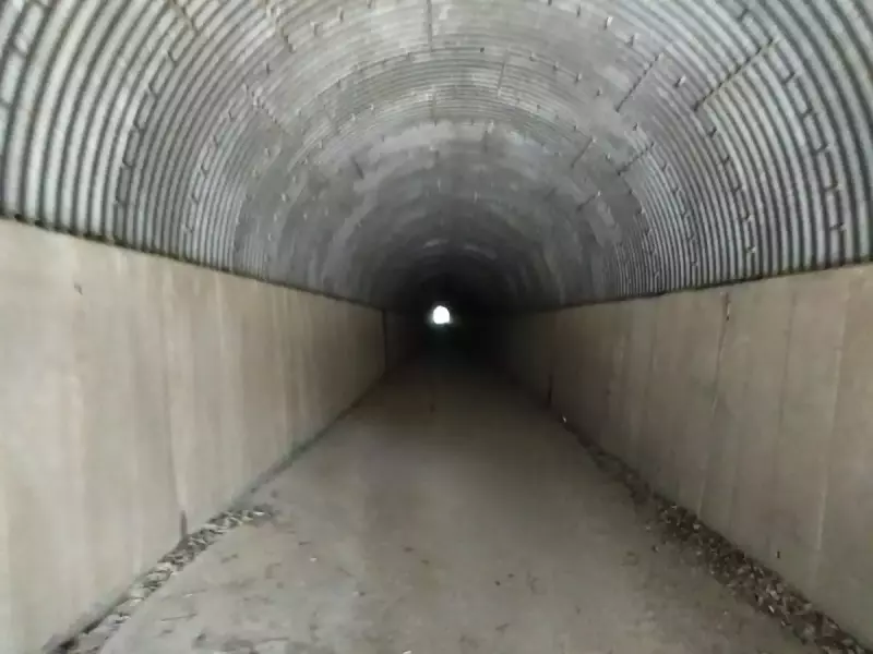 大山三峰山 登山 登山道 山神隧道
