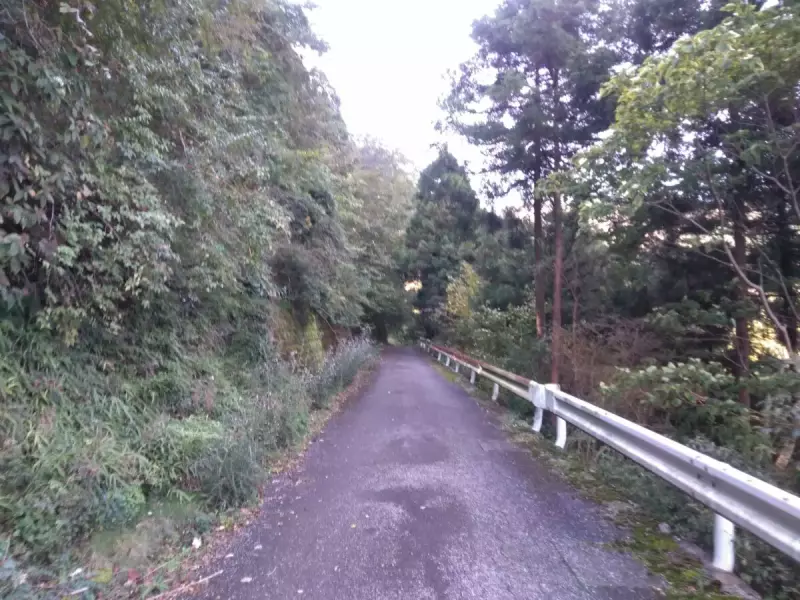 大山三峰山 登山 登山道