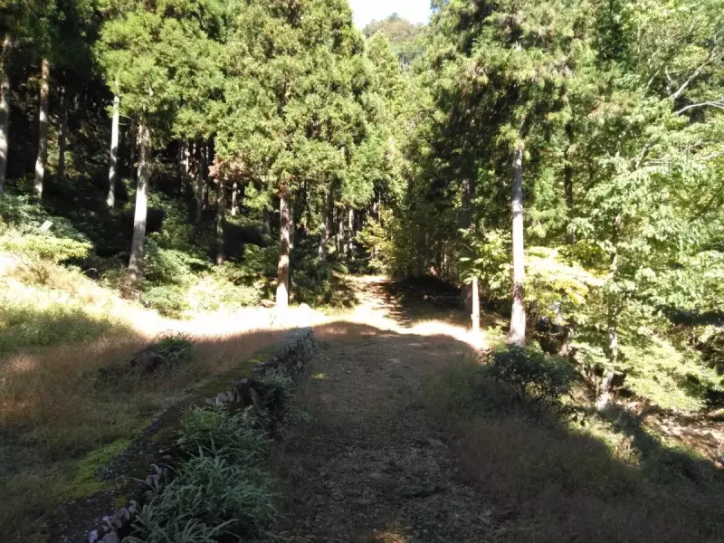 大山三峰山 登山 登山道 不動尻