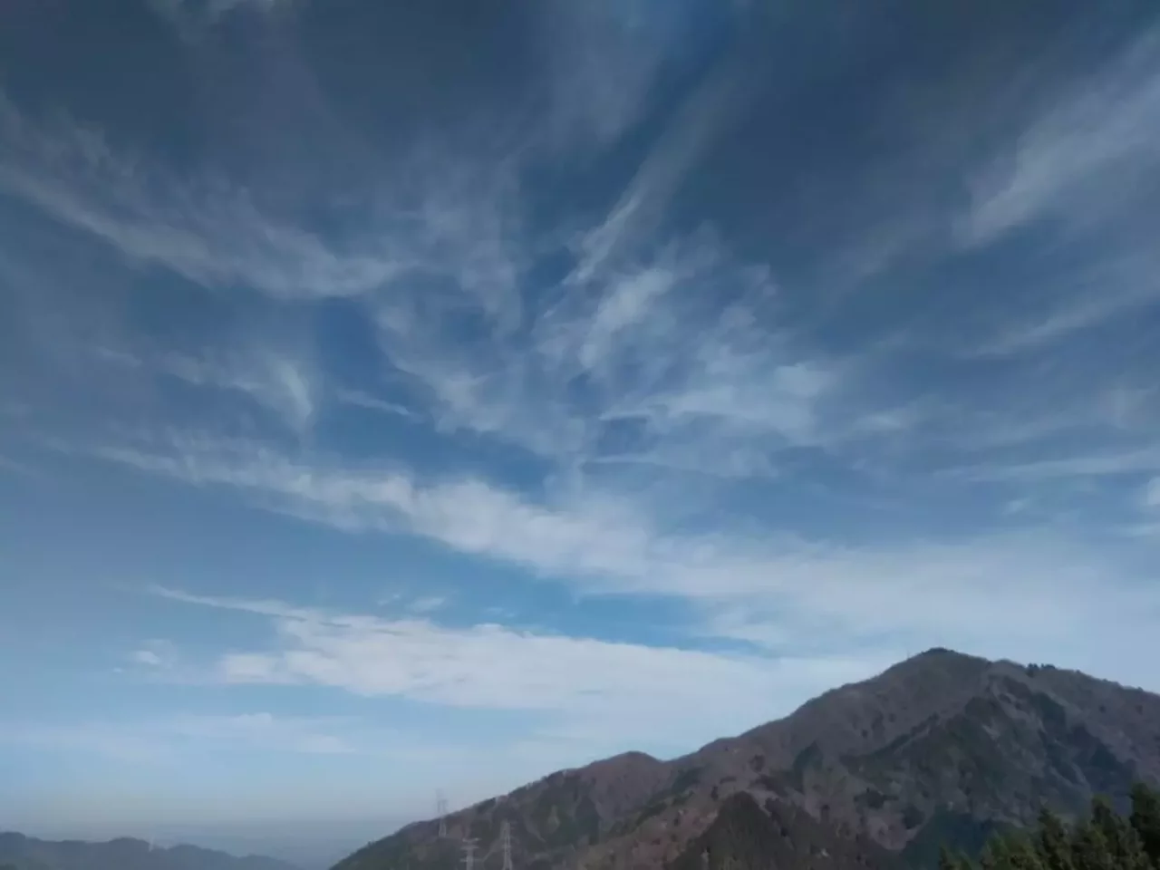 丹沢 三ノ塔 岳ノ台 山頂