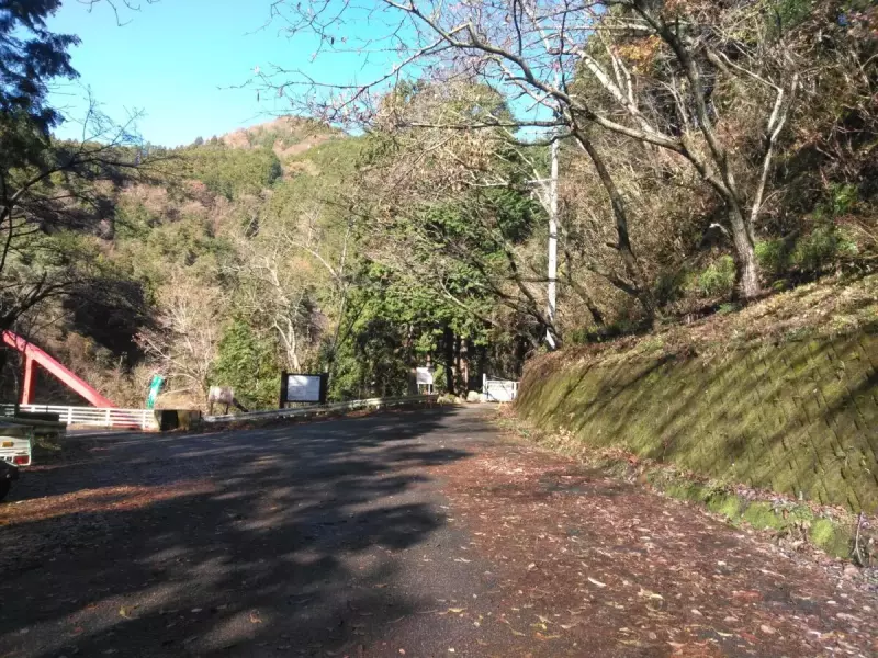 丹沢 鍋割山 寄大橋